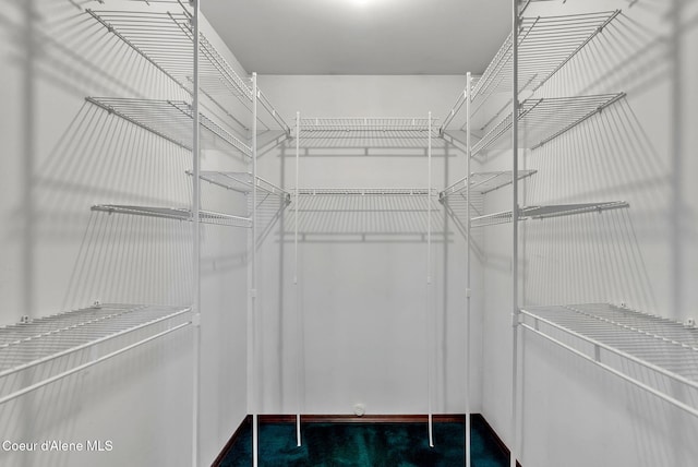 12854 E Hellroaring Rd, Athol, ID 83801 - view of walk in closet
