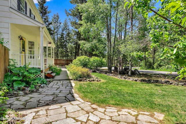 12854 E Hellroaring Rd, Athol, ID 83801 - view of yard