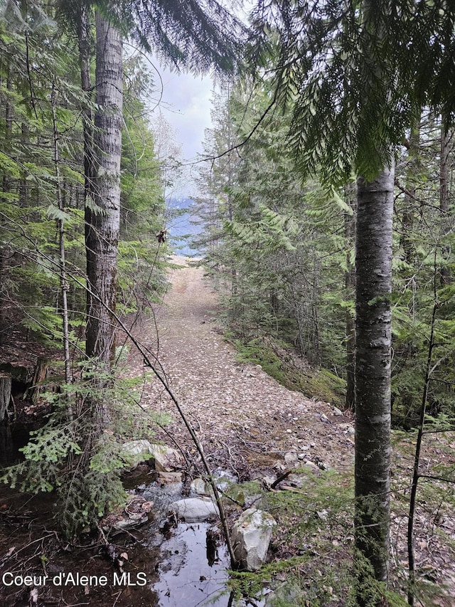 view of nature
