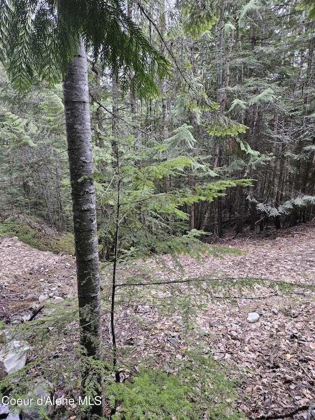 view of local wilderness featuring a wooded view