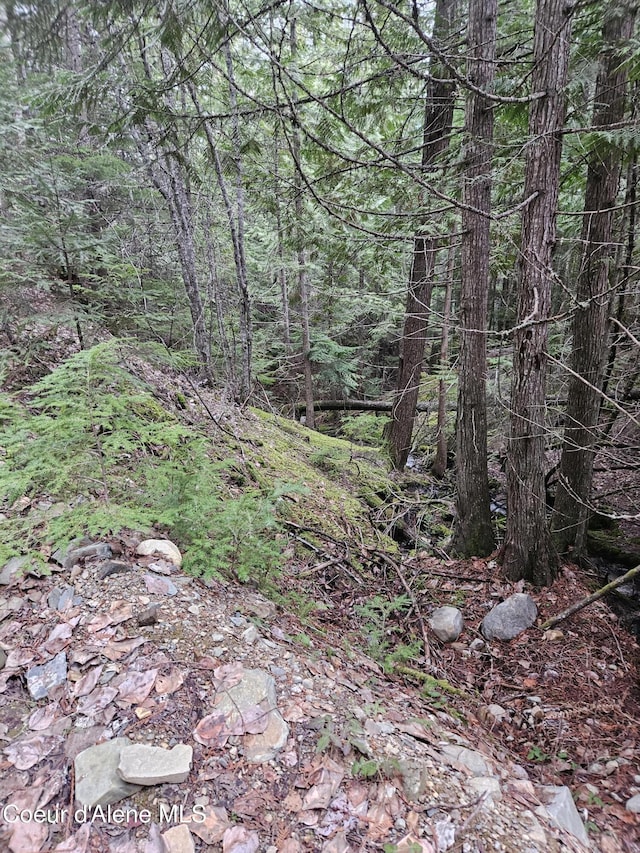 view of nature with a forest view
