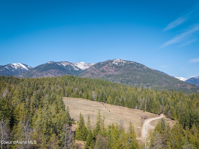 view of mountain feature featuring a view of trees