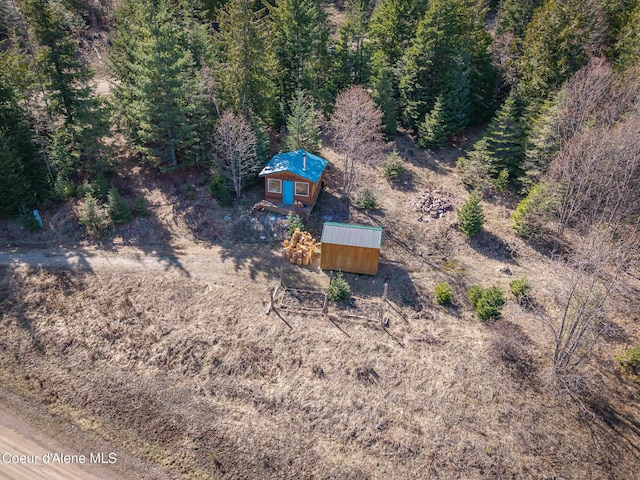 bird's eye view
