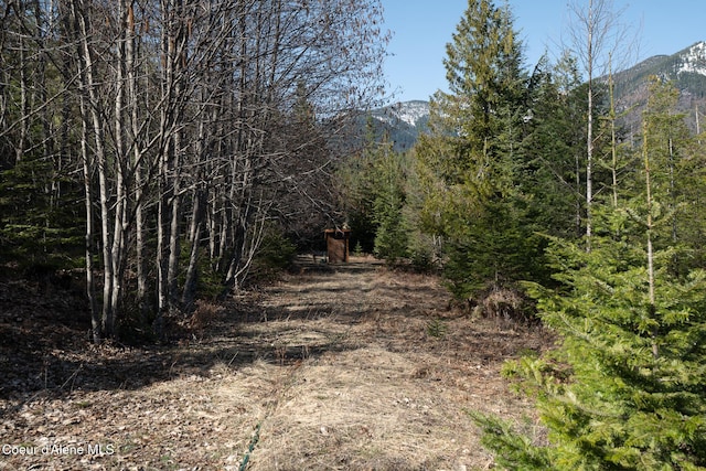 view of street with a mountain view and a forest view