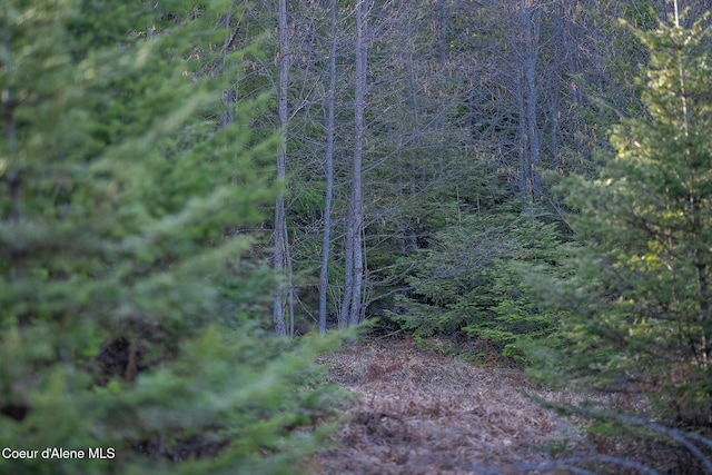view of nature