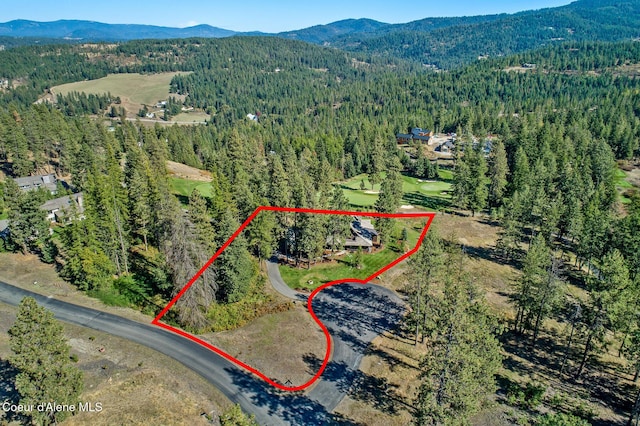 2623 E Old Barn Ct, Harrison, ID 83833 - birds eye view of property with a mountain view and a view of trees