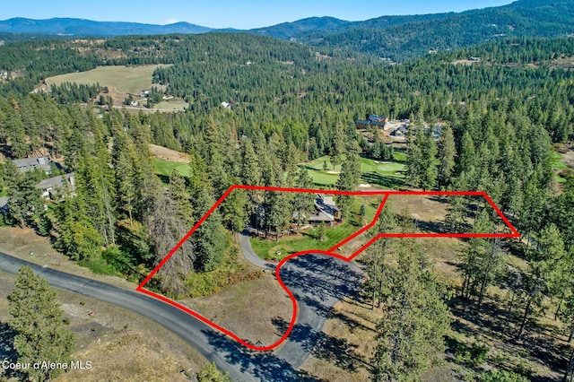 2623 E Old Barn Ct, Harrison, ID 83833 - aerial view with a mountain view and a forest view