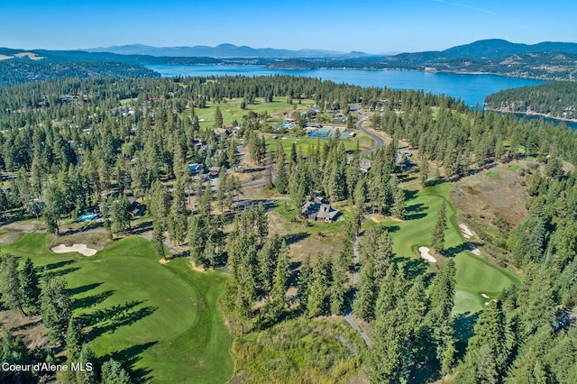2623 E Old Barn Ct, Harrison, ID 83833 - birds eye view of property with a water and mountain view and a wooded view