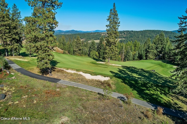 2623 E Old Barn Ct, Harrison, ID 83833 - view of community featuring view of golf course, a wooded view, a mountain view, and a yard