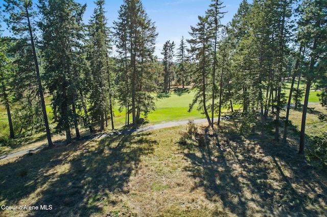 2623 E Old Barn Ct, Harrison, ID 83833 - view of yard