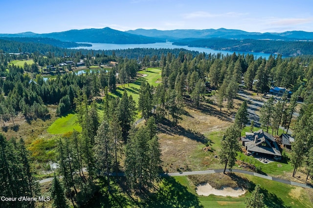 2623 E Old Barn Ct, Harrison, ID 83833 - bird's eye view with a water and mountain view and a wooded view