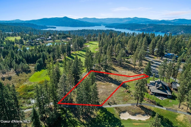 2623 E Old Barn Ct, Harrison, ID 83833 - aerial view with a forest view and a water and mountain view