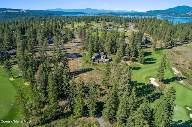 2623 E Old Barn Ct, Harrison, ID 83833 - birds eye view of property featuring a water and mountain view and a view of trees