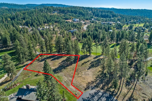 2623 E Old Barn Ct, Harrison, ID 83833 - drone / aerial view with a view of trees