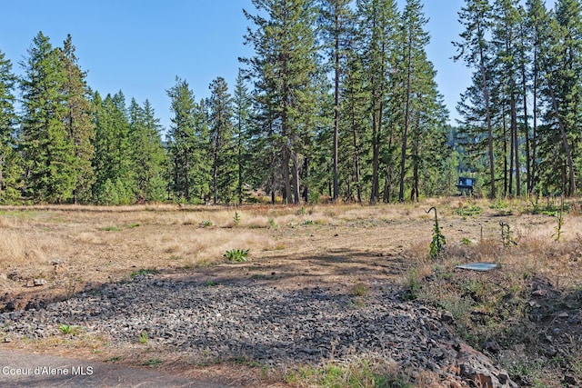 2623 E Old Barn Ct, Harrison, ID 83833 - view of nature
