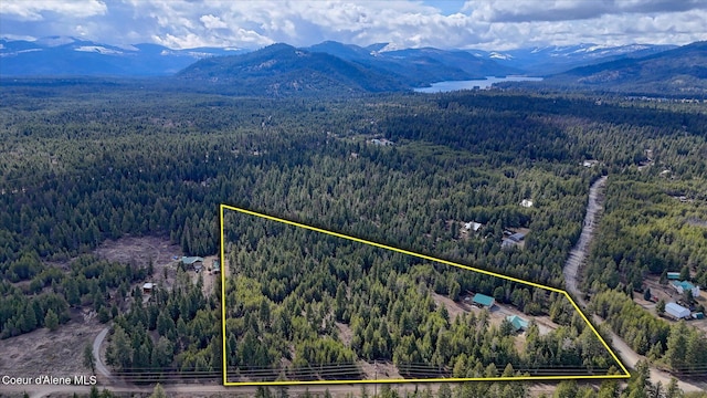 drone / aerial view with a mountain view and a forest view