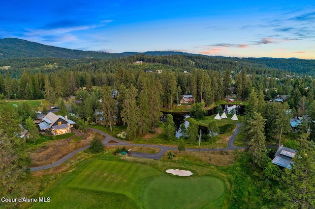 6431 S Settlers Pond Ct, Harrison, ID 83833