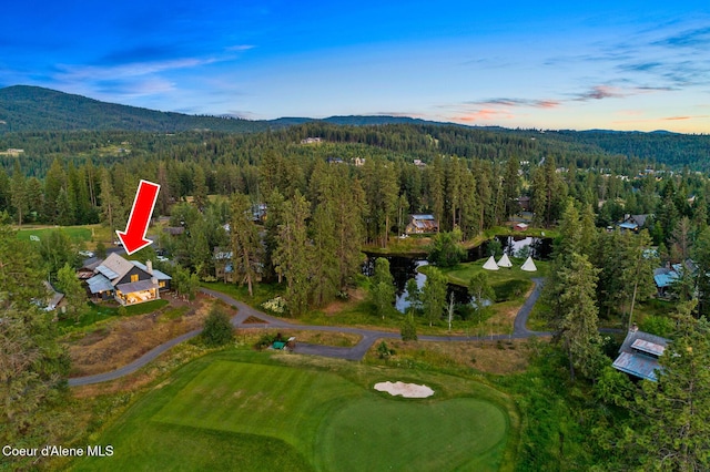 6431 S Settlers Pond Ct, Harrison, ID 83833