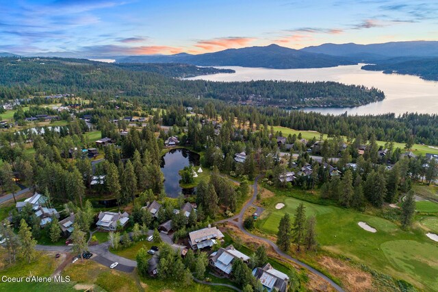 6431 S Settlers Pond Ct, Harrison, ID 83833