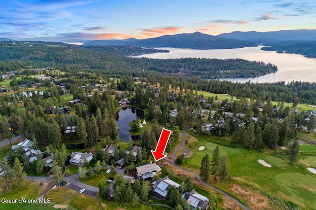 6431 S Settlers Pond Ct, Harrison, ID 83833