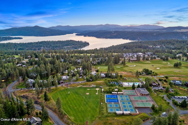 6431 S Settlers Pond Ct, Harrison, ID 83833