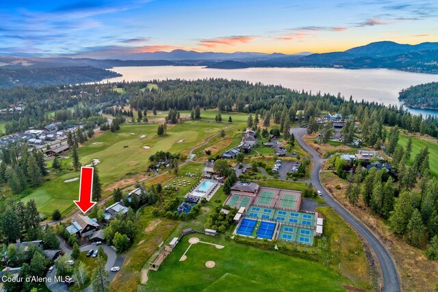 6431 S Settlers Pond Ct, Harrison, ID 83833