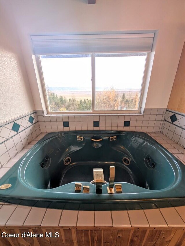 bathroom with a healthy amount of sunlight and a tub with jets