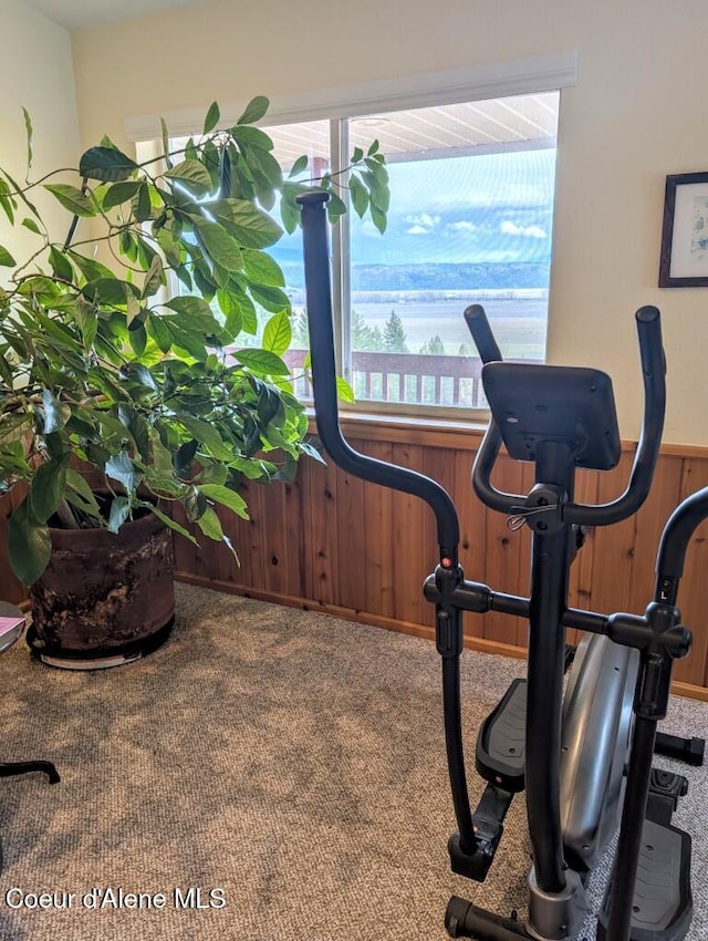 exercise area with carpet, a healthy amount of sunlight, and wooden walls