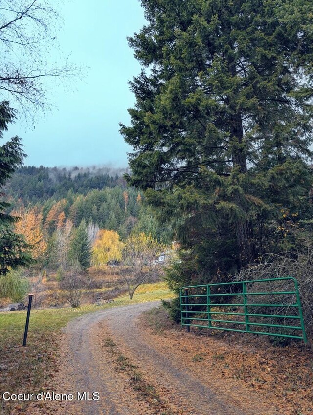 view of road featuring a wooded view
