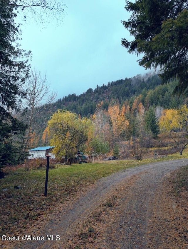 view of road with a forest view