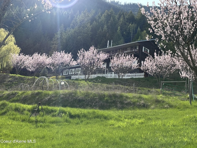 view of yard with a forest view