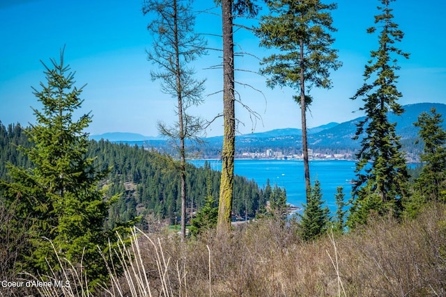 NKA S Tumblestone Dr, Coeur Dalene, ID 83814