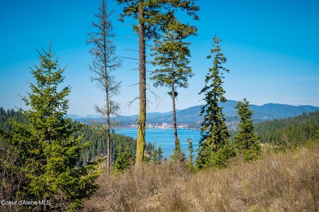 NKA S Tumblestone Dr, Coeur Dalene, ID 83814