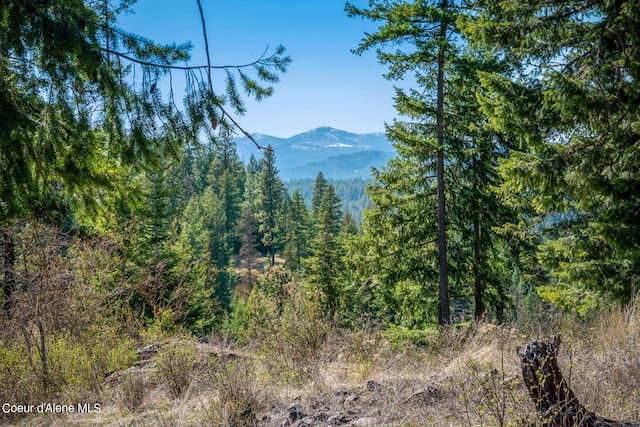 NKA S Tumblestone Dr, Coeur Dalene, ID 83814