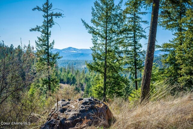 NKA S Tumblestone Dr, Coeur Dalene, ID 83814