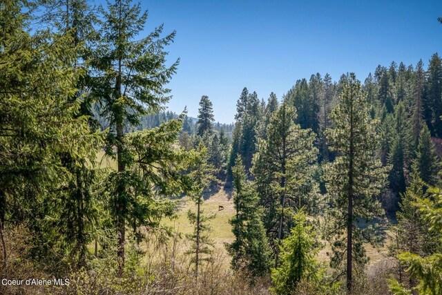 NKA S Tumblestone Dr, Coeur Dalene, ID 83814