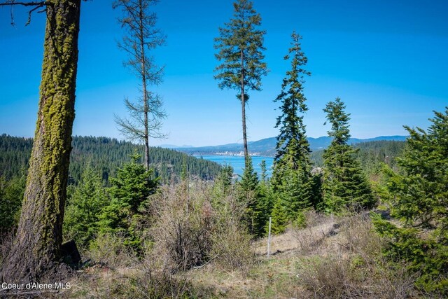NKA S Tumblestone Dr, Coeur Dalene, ID 83814