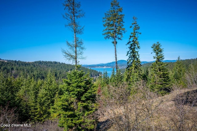 NKA S Tumblestone Dr, Coeur Dalene, ID 83814