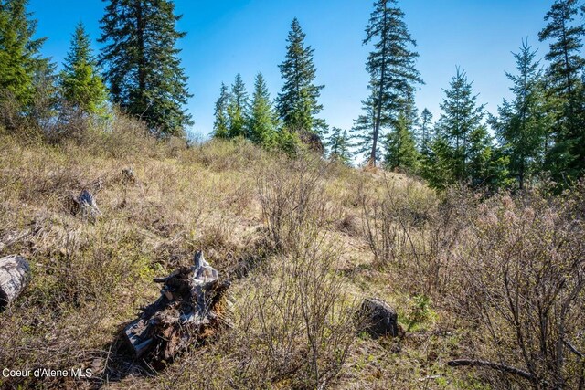 NKA S Tumblestone Dr, Coeur Dalene, ID 83814