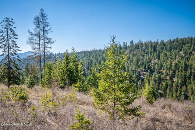 NKA S Tumblestone Dr, Coeur Dalene, ID 83814