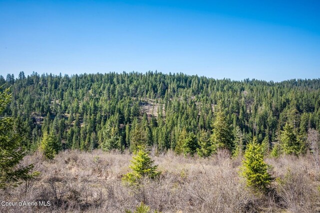 NKA S Tumblestone Dr, Coeur Dalene, ID 83814