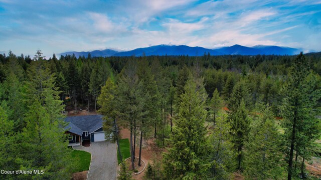 aerial view featuring a mountain view and a forest view
