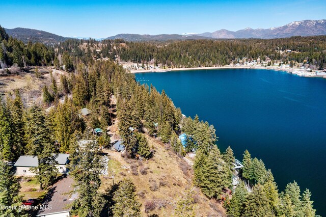 787 W Garfield Bay Rd, Sagle, ID 83860 - photo 45
