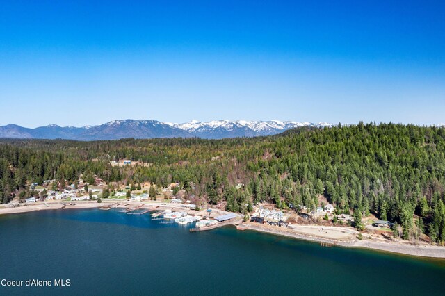 787 W Garfield Bay Rd, Sagle, ID 83860 - photo 48