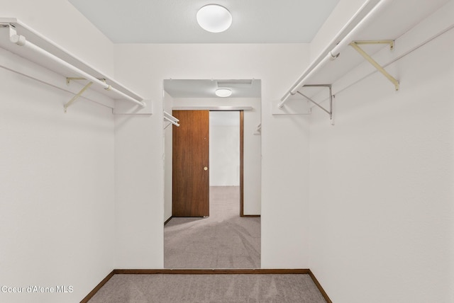 walk in closet with carpet