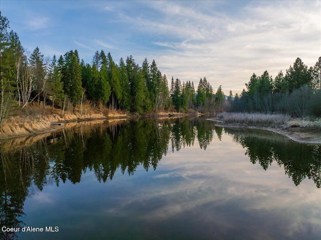 property view of water featuring a wooded view