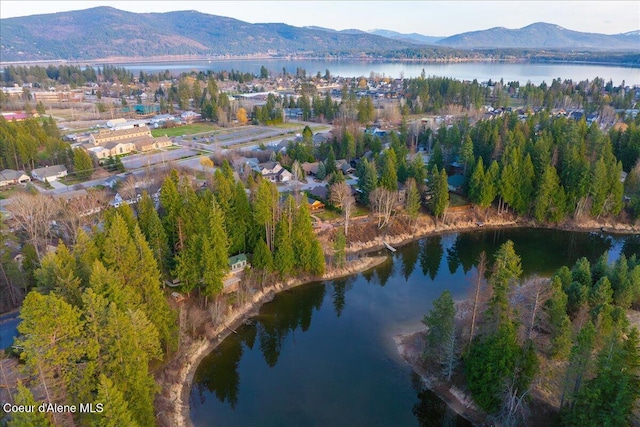 birds eye view of property with a water and mountain view