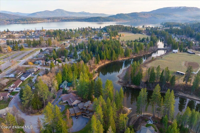 birds eye view of property featuring a water and mountain view