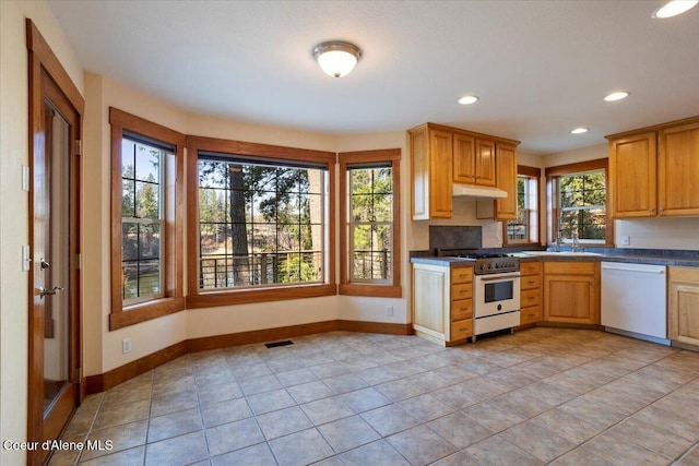 kitchen with baseboards, white dishwasher, under cabinet range hood, recessed lighting, and gas stove