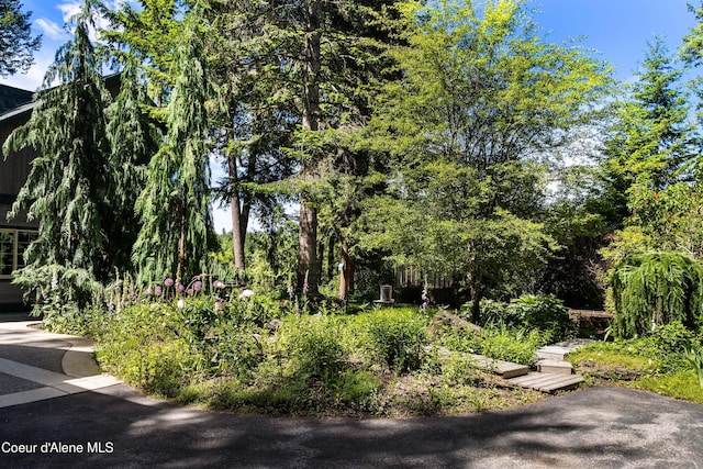 view of community